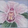 White Orchid Cross Stitch Kit Mill Hill 2020 Buttons & Beads Spring MH142014 -Mew Holidays Shop 2020 white orchid005 22077.1679841522