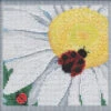 Ladybug On Daisy Cross Stitch Kit Mill Hill 2021 Buttons & Beads Spring MH142116 -Mew Holidays Shop 2021 ladybug daisy005 19906.1609914571