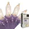 50-Count Clear Incandescent Mini Christmas Light Set, 19ft Purple Wire -Mew Holidays Shop 4rtjkyx9bi5emys3vyjif9xoxcsrvghf 20117.1667536406