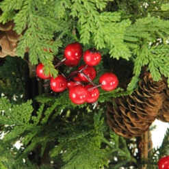 5' Slim Mixed Cedar Pine Entryway Artificial Christmas Tree - Unlit 7 5' Slim Mixed Cedar Pine Entryway Artificial Christmas Tree - Unlit -Mew Holidays Shop cfyznzqotrg1zrz5gl3npctgqlvsivne 11957.1667578546