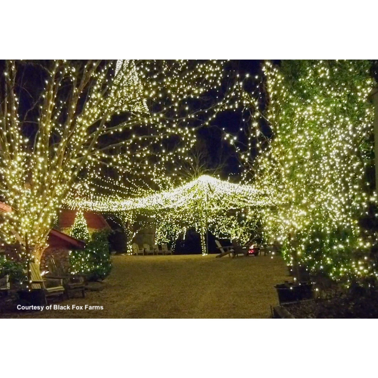 50 Pure White LED Wide Angle Christmas String Lights - 25.17 Ft Brown Wire 4 50 Pure White LED Wide Angle Christmas String Lights - 25.17 Ft Brown Wire - Image 2