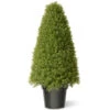 36" Green Artificial Boxwood Topiary Tree With Weighted Pot -Mew Holidays Shop dnat lbx4 36 01 17029.1667533504