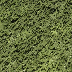 27" Upright Juniper Ball Topiary Tree In Urn - Unlit -Mew Holidays Shop dnat lcy4 704 27 3 32463.1667643292