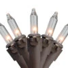 300-Count Clear Mini Christmas Lights Set, 62.25ft Brown Wire -Mew Holidays Shop gtocas0v3dpdlit8ck5hg9augsge91sq 92561.1667488340
