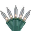 150ct Clear Everglow 8-Function Mini Christmas Lights - 37.5ft, Green Wire -Mew Holidays Shop hofert 2697 02 temp 95252.1667535740