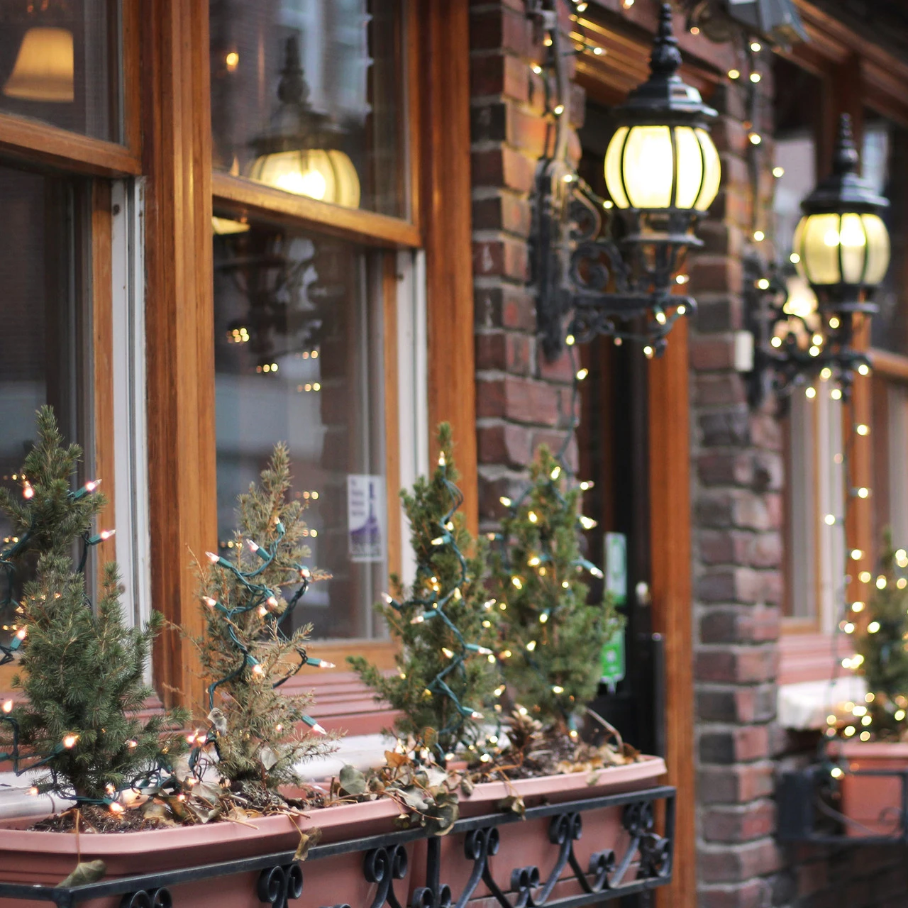 300-Count Clear Mini Christmas Light Set, 149.6ft Green Wire 5 300-Count Clear Mini Christmas Light Set, 149.6ft Green Wire - Image 3