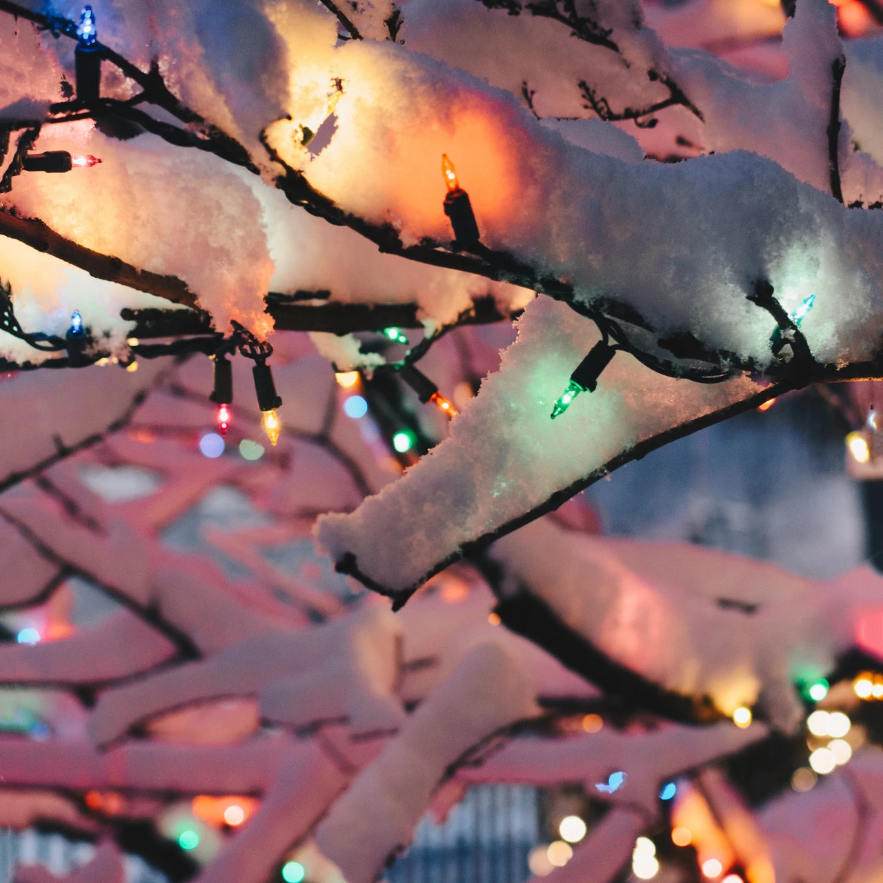 100-Count Multi-Color Mini Christmas Light Set, 20.25ft Green Wire 4 100-Count Multi-Color Mini Christmas Light Set, 20.25ft Green Wire - Image 2