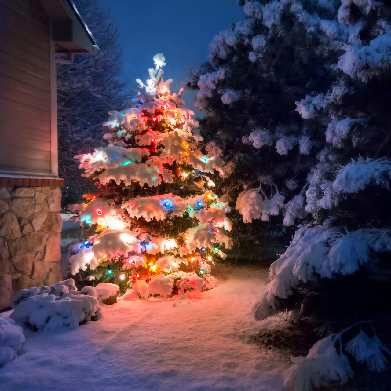 Set Of 300 Multi-Color Mini Christmas Lights 2.5" Spacing - Green Wire 4 Set Of 300 Multi-Color Mini Christmas Lights 2.5" Spacing - Green Wire - Image 2