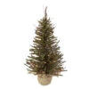 2.5' Pre-Lit Warsaw Two-Tone Twig Artificial Christmas Tree - Clear Lights -Mew Holidays Shop northlight b03911 37002.1667663638