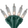450-Count Clear Mini Christmas Light Set, 92ft Green Wire