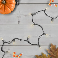 50 White LED Mini Christmas Lights - 16.25 Ft Black Wire -Mew Holidays Shop northlight nl02517 2 17484.1667578412