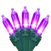 100-Count Purple LED Mini Christmas Lights, 33ft Green Wire 2 100-Count Purple LED Mini Christmas Lights, 33ft Green Wire -Mew Holidays Shop uenxzoidifuewkqbsib3v1ulu6lnqcw7 13319.1667489939