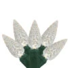 35 White LED C6 Mini Christmas Lights - 16.7 Ft Green Wire -Mew Holidays Shop uq2zcvjqvuwg73nrmevhxctynnwmfoat 88630.1667586203