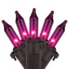 100-Count Purple Mini Incandescent Christmas Light Set, 20.25ft Black Wire -Mew Holidays Shop uvswo4hwchw8tnmzunvhty8qpjo4yxwh 59735.1681407899